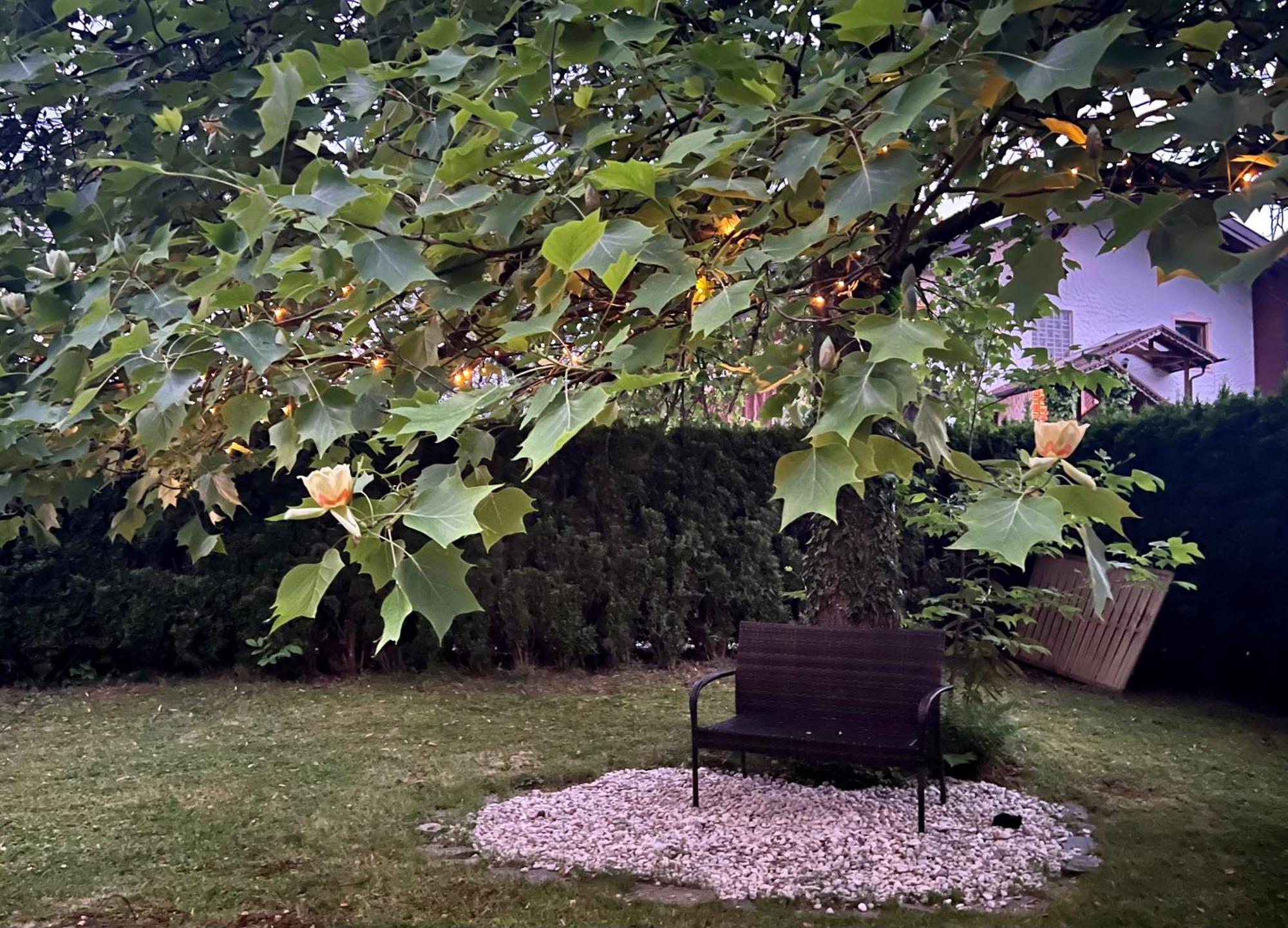 Haus Mit Garten Eugendorf Extérieur photo